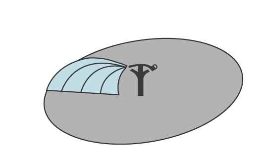 Illustration of sprinkler and oval surrounding to indicate wetted area