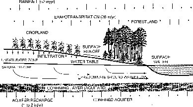 Drawing of water cycle showing cropland, rainfall, evapotranspiration, aquifer etc.
