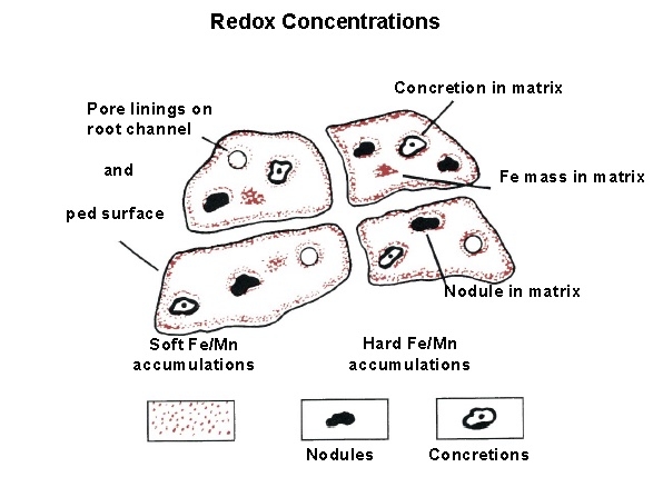 Labeled schematic shows pore linings on root channel and ped surface, soft Fe/Mn accumulations, Concretion in matrix, Fe mass in matrix, nodule in matrix, & Hard Fe/Mn accumulation