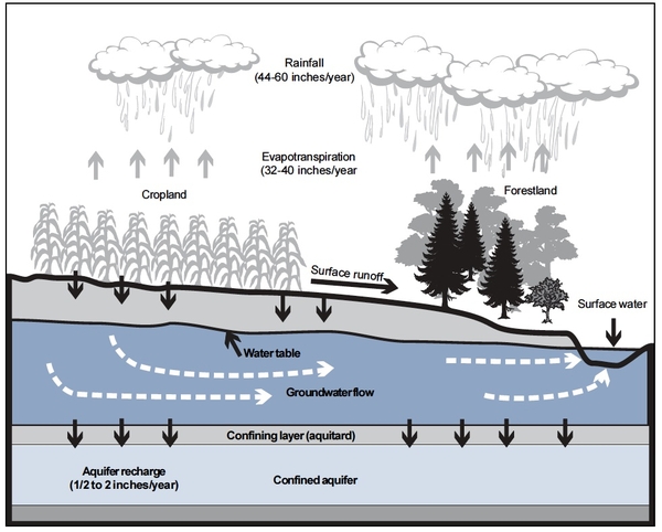 Illustration of hyrdologic cycle. i.e. cropland/forestland, evapotranspiration, rainfall, surface runoff, surface water, water table, aquifer, etc.