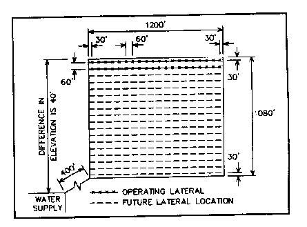 Schematic shows spacing, water supply, operating lateral, and future lateral location