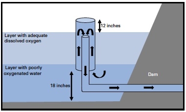 Illustration shows drainpipe and dam as well as upper layer of water with adequate dissolved oxygen and lower layer with poorly oxygenated water