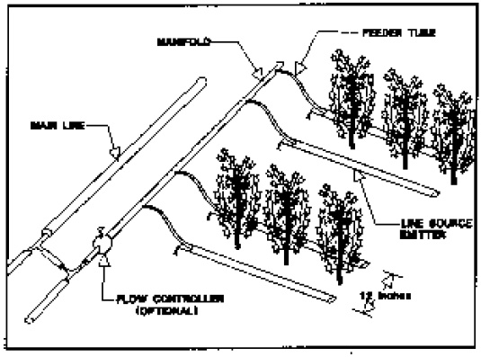 Schematic shows main line, flow controller, feeder tube, line source emitter, etc.