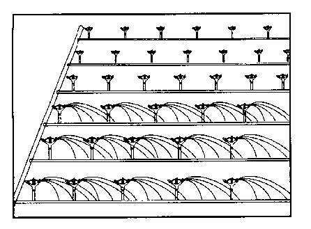 Sketch of irrigations system where a triangular sprinkler spacing is used. Sprinklers are spaced 60 feet on the lateral and laterals are 60 feet apart.