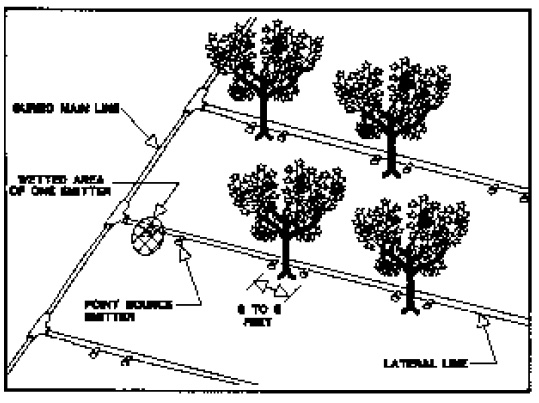 Schematic shows main line, wetted area of one emitter, lateral line, etc.