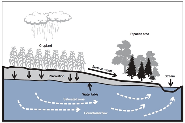 Water draining from upland areas must pass through the riparian zone beside the stream before reaching the stream and becoming part of its base flow.