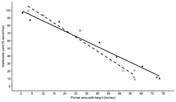 X-axis height of weed vs. y-axis % of yield weed-free.