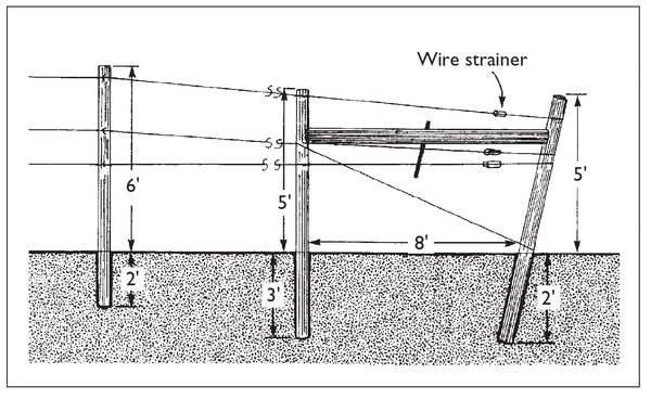 Illustration of internal brace assembly and dimensions.