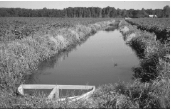 Black and white photo of water control structure and drainage ditch