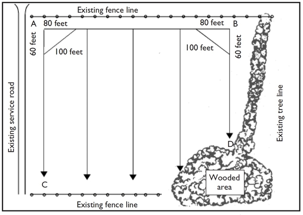 Diagram of vineyard layout using grid lines and reference points against existing boundaries (fence line, service road, wooded area).