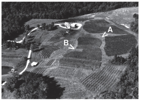 Black and white labeled aerial photo of vineyard