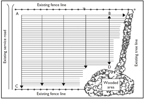 Diagram of vineyard layout using grid lines and reference points against existing boundaries (fence line, service road, wooded area).
