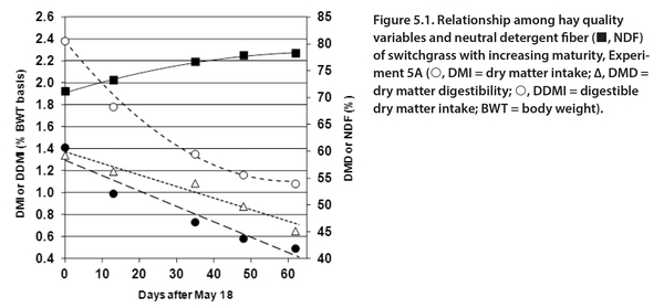 Plot of the relationships among dry matter intake, dry matter digestibility, and digestible dry matter intake and neutral detergent fiber concentrations across maturities