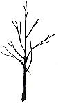 Sketch of branches