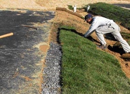 Person installing sod