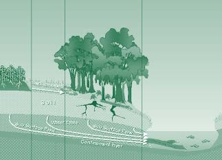 Drawing of ineffective condition for nitrate removal in a riparian zone