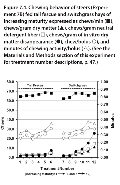 Figure 7.4. Chewing behavior of steers (Experiment 7B) fed tall fescue and switchgrass hays of increasing maturity