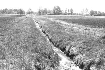 Photograph of open-ditch systems designed to provide primarily surface drainage (surface runoff)