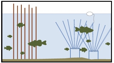 Illustration shows wooden stakes and artificial structure with fish near each