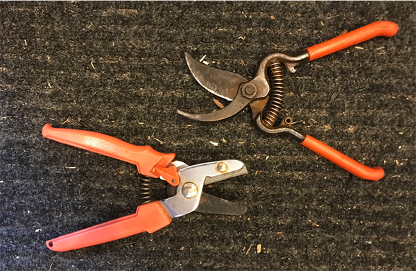 Anvil pruners and bypass pruners