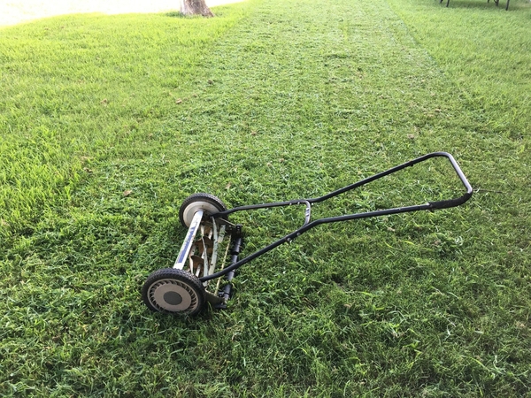 reel push mower on lawn