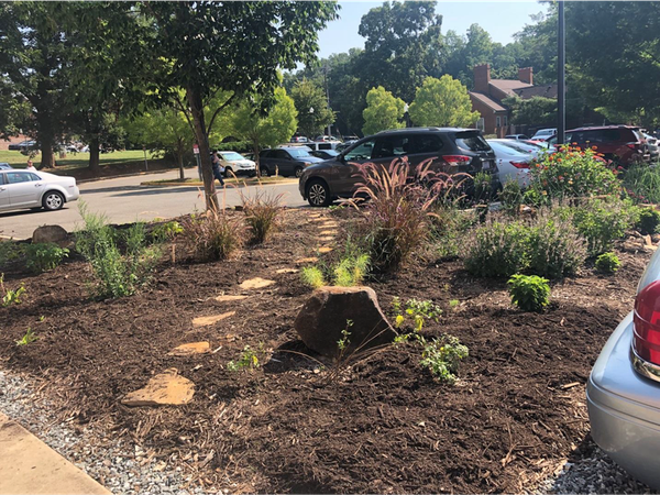 Median garden with mulch, pathway and plants. Cars in background.