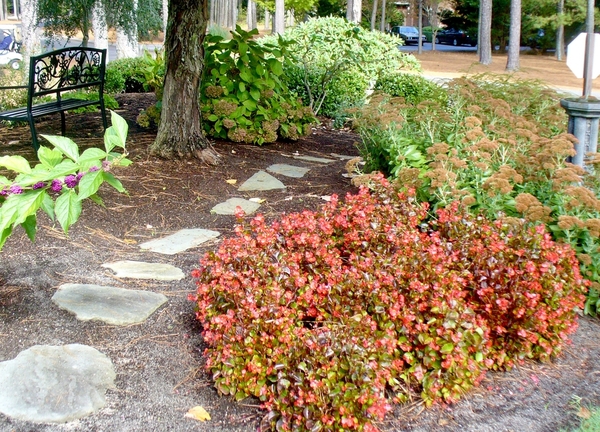 Stone paver path through a garden.