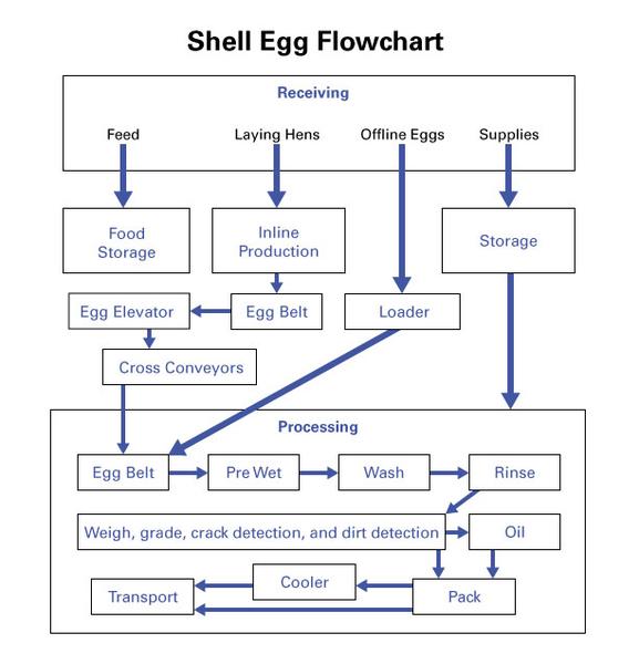 Sample line-art flowchart with steps from receipt to distributio