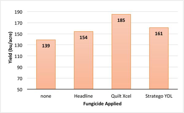 Graph showing average yield for each applied fungicide.
