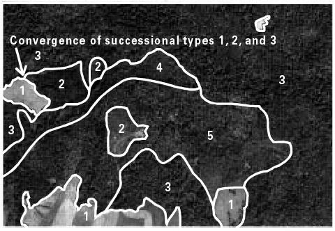 Map showing convergence of three successional types