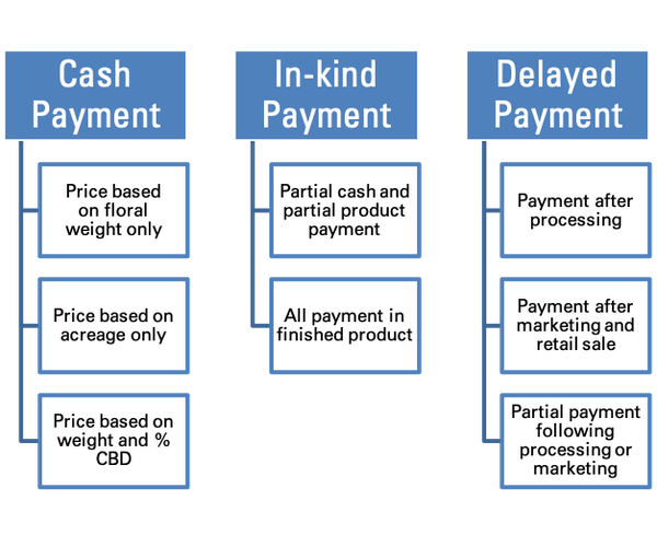 Options for cash, in-kind, or delayed payment arrangements