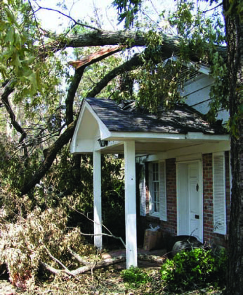 Storm-damaged trees on top of a house.