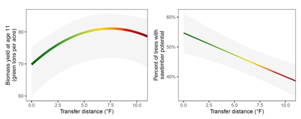 Line graphs showing how the yield for pine trees change with the transfer difference