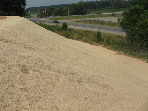 Photo of excelsior erosion control blankets on 2:1 slope