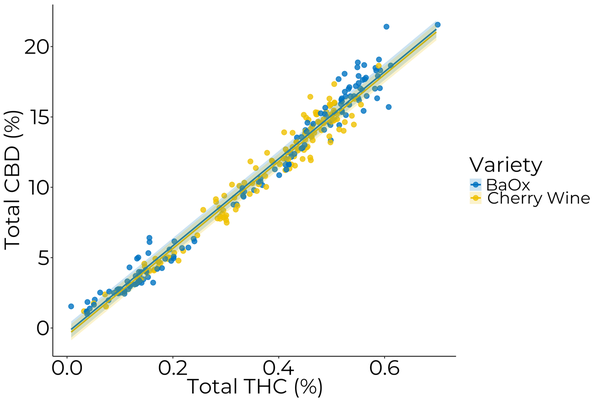 Scatter plot of percent total CBD and percent total THC in ‘BaOx’ and ‘Cherry Wine’ floral hemp varieties.