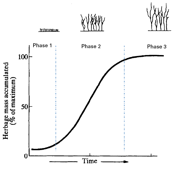 Graph of accumulation of forage mass