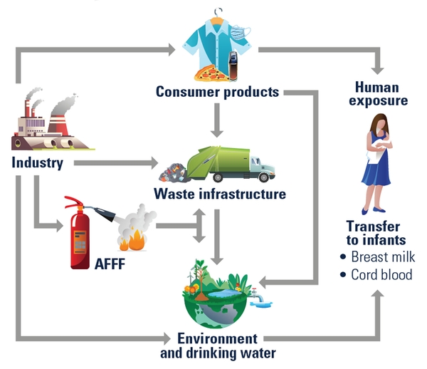 PFAS exposure comes from waste, industry, fire fighting, and consumer products through direct human exposure and environmental contamination.