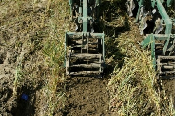After tilling, soil texture may be fine and likely to form crusts.
