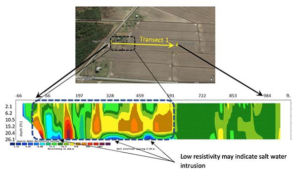 Graph and transect photo indicating low resistivity areas