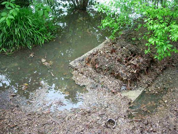 Photo of a bioretention device clogged with debris