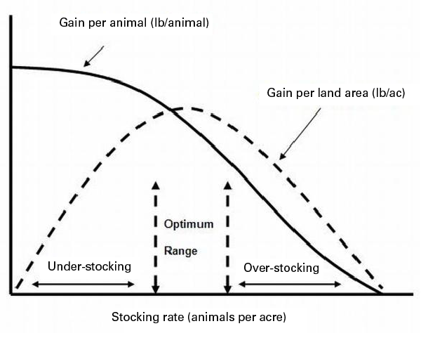 Graph of effect of stocking rate on gain per animal and gain/acr