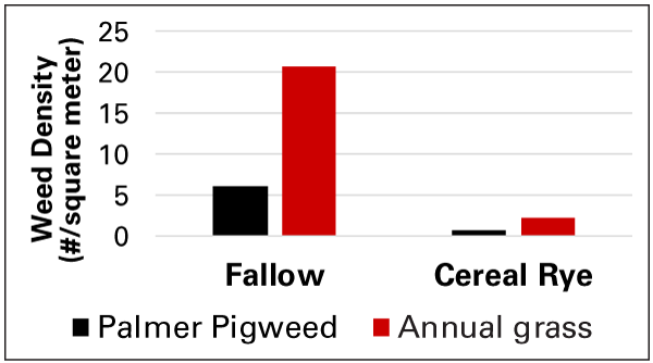 x=pigweed and grass in fallow versus rye; y=weed density