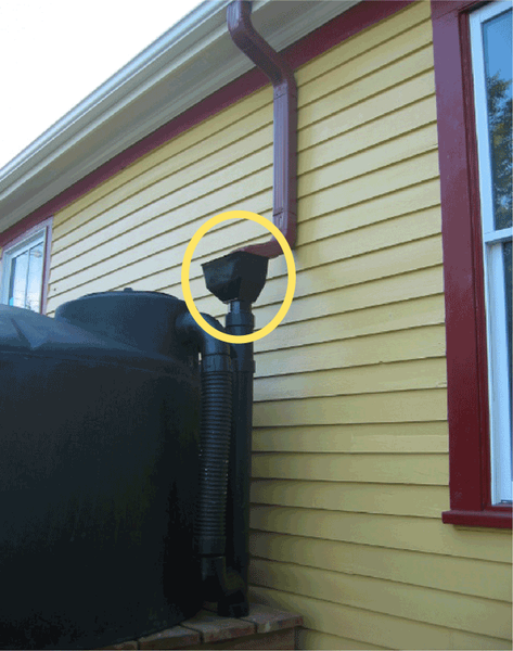 Gutter downspout connects to filter screen in open container