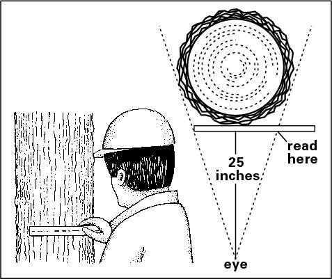 Illustration of how to measure tree diameter with Biltmore stick