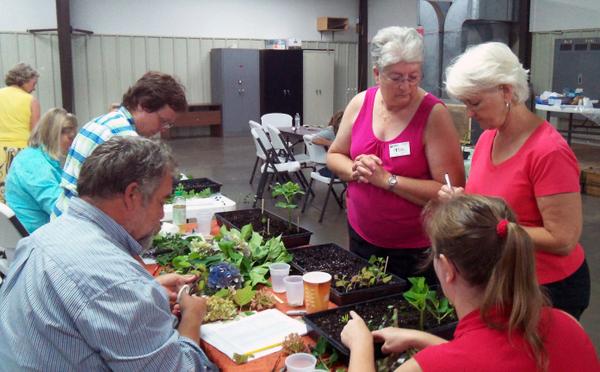 Advanced master gardener training in propagation in Rowan County
