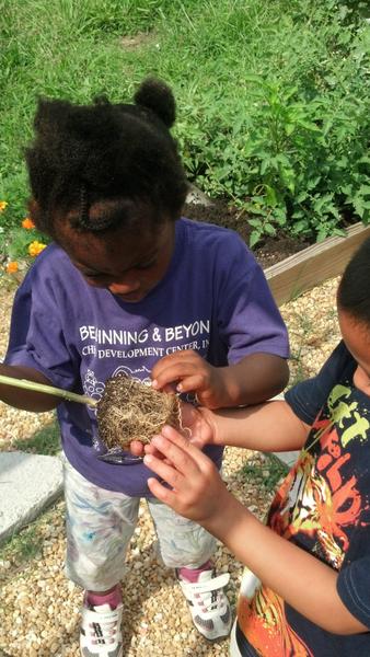 2 children loosen the roots of a plant