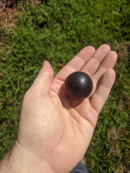 One large grape held in the palm of a hand