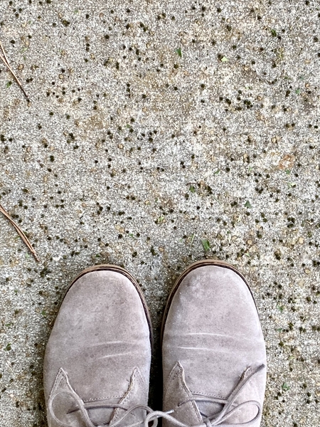 Shoes on a sidewalk, surrounded by small black pellets