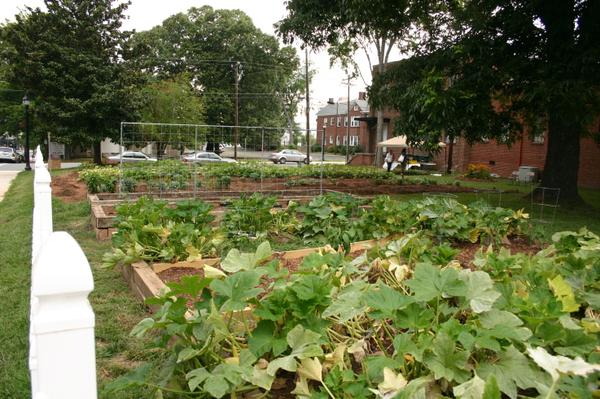 Photo of Beloved Community Garden in Greensboro