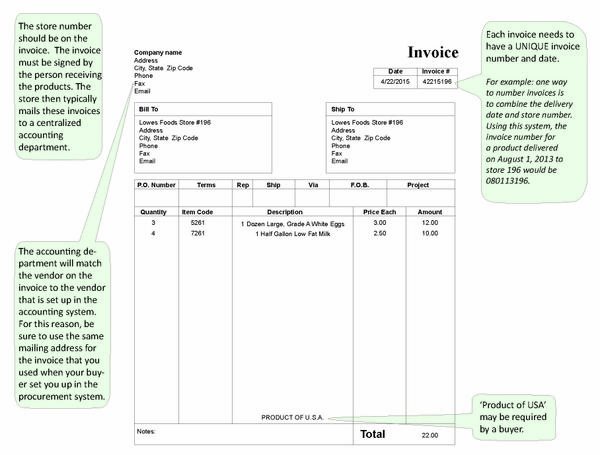 Example invoice form with required details